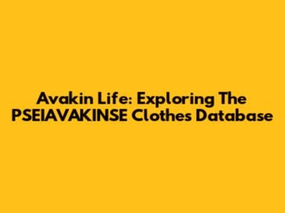Avakin Life: Exploring The PSEIAVAKINSE Clothes Database