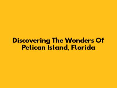 Discovering The Wonders Of Pelican Island, Florida